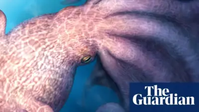 giant octopus — GB news