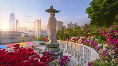 south korea — GB news