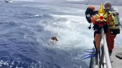 bayesian yacht sinking — GB news