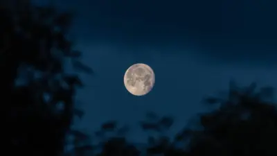 flower moon — GB news