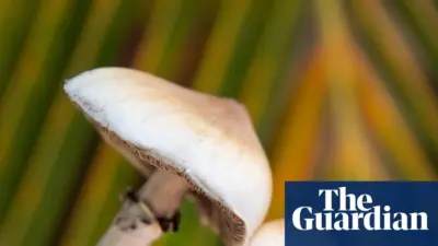 mushroom — GB news